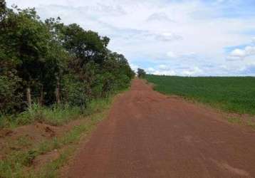 Sitio de 7 alqueires , 40 km de palmas