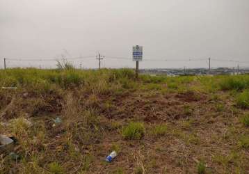 Terreno comercial para venda em londrina, jardim morumbi