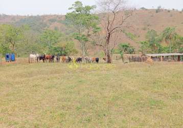 Fazenda proxima a dutra paraa venda, , roseira velha, sp