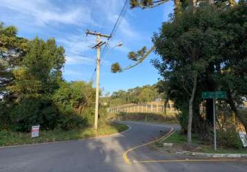 Terreno industrial para venda  no bairro ana rech em caxias do sul