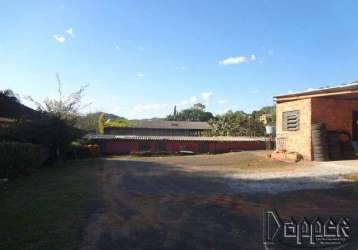 Terreno floresta estância velha