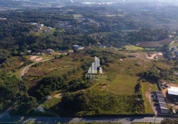 Area 78.000 m² colonia zacarias - são josé dos pinhais- pr