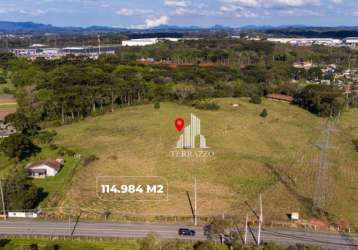 Área à venda, 114984 m² por r$ 6.500.000,00 - roseira - são josé dos pinhais/pr