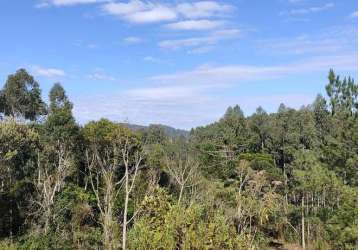 Chácara para venda em campo alegre, bateias de baixo