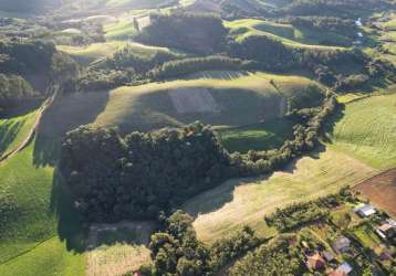 Área em campo alegre - 40.000,00m²