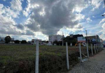 Terreno para alugar, 2100 m² - jardim paulista - campina grande do sul/pr