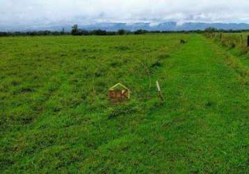 Área à venda, 20000 m² por r$ 400.000,00 - cruz pequena - pindamonhangaba/sp