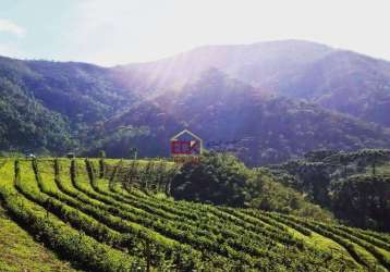 Fazenda com 2 dormitórios à venda, 540000 m² por r$ 3.200.000 - distrito dos franceses - carvalhos/mg