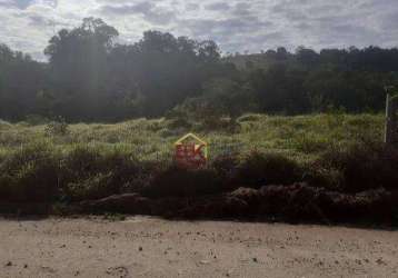 Terreno à venda, 1000 m² por r$ 106.000 - borda da mata - caçapava/sp