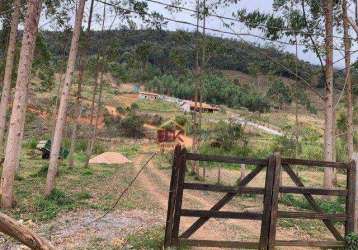 Terreno à venda, 7000 m² por r$ 160.000,00 - borba - pindamonhangaba/sp