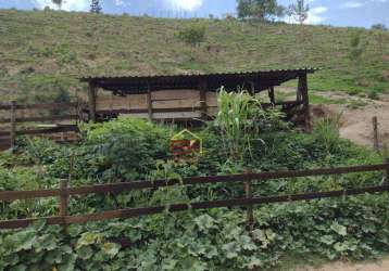 Terreno à venda, 9000 m² por r$ 100.000,00 - paineira - teresópolis/rj