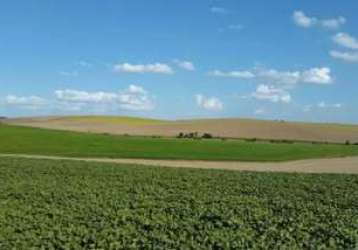 Lapa, fazenda  471,90  hectares,195 alqueires ou 4.719.000m²,plantando  110 alqueires,  à venda, pa