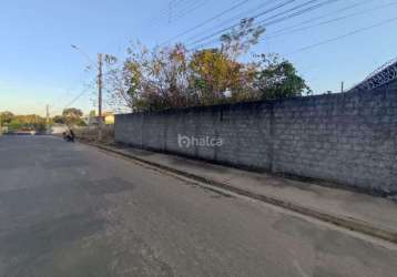 Lote/terreno para aluguel, no bairro zoobotanico, teresina/pi