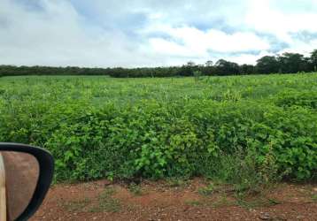 Fazenda para venda em primavera do leste, rural