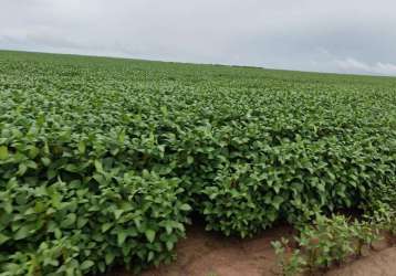 Fazenda para venda em balsas, área rural