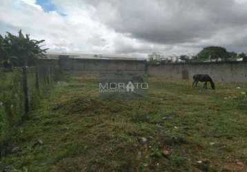 Terreno à venda, bandeirantes (pampulha) - belo horizonte/mg