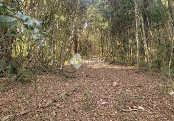 Terreno à venda na rodovia jose bueno de miranda, 100, zona rural, munhoz por r$ 160.000