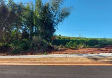 Terreno para venda em foz do iguaçu, jardim marisa