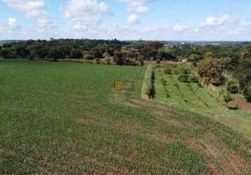 Área para venda em foz do iguaçu, imóvel alwin