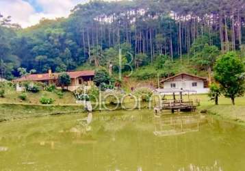 Chácara / sítio com 8 quartos à venda na estrada do cerne, s/n, três córregos, campo largo, 813000 m2 por r$ 1.990.000