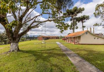 Chácara / sítio com 6 quartos à venda na rua basílio lecheta, s/n, planta laranjeiras, piraquara, 219615 m2 por r$ 12.000.000