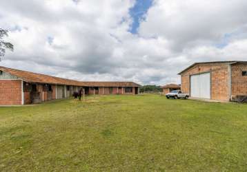 Fazenda à venda na rua basílio lecheta, planta laranjeiras, piraquara, 219615 m2 por r$ 12.000.000