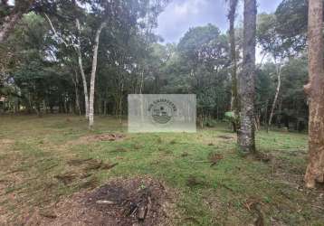 Terreno em campo alegre, ótimo para casa de campo, são 14.000 m²