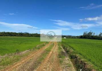 Area de arrozeira toda plana com 114.800 m², documentado, no rio bonito