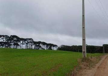 Fazenda à venda, 254100000 m² por r$ 5.460.000,00 - centro - araucária/pr