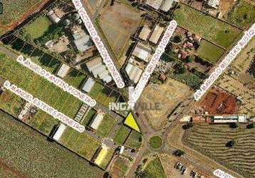 Terreno à venda, 1000 m² por r$ 650.000,00 - parque industrial - maringá/pr