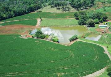 Chácara à venda, rural, palmital, pr