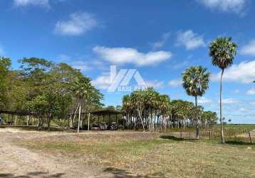 Fazenda à venda, rural, corumbá, ms