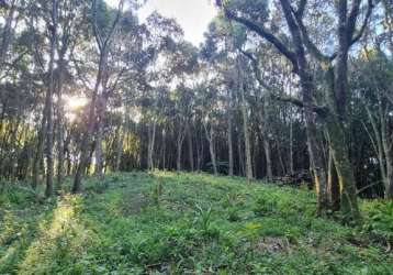 Chácara para venda em campo largo, colônia balbino cunha