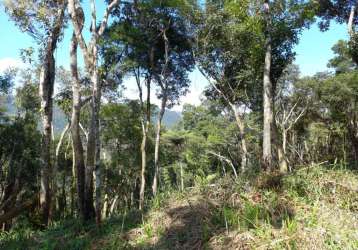 Chácara para venda em campo largo, estrada da faxina/taquaral