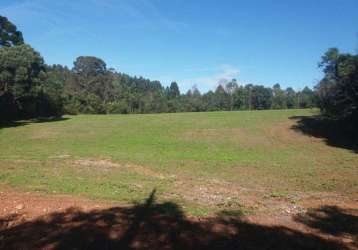 Terreno para venda em campo largo, vila delurdes