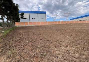 Terreno industrial para locação em campo largo, salgadinho