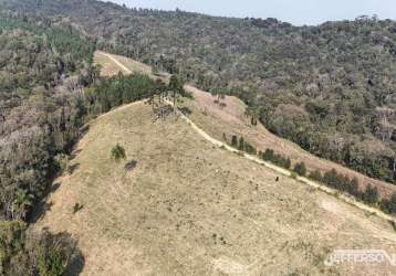 Chácara para venda em campo largo, retiro grande, 4 dormitórios, 1 banheiro