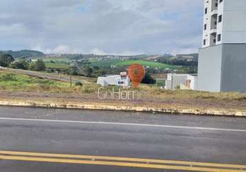 Loteamento avenida - oportunidade única em terreno com 480 m²