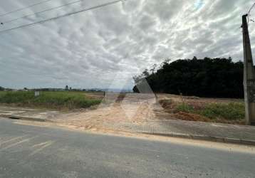 Terreno à venda em santa terezinha, gaspar  por r$ 3.500.000