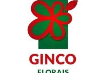 Oportunidade lote de esquina no condomínio ginco florais safira