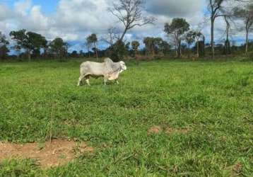 Fazenda à venda na área rural, 01, área rural de rondonópolis, rondonópolis, 2000 m2 por r$ 45.000.000