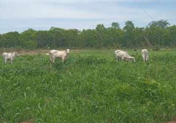 Sitio na região do barreiro vermelho na região da cidade de rosário oeste mt