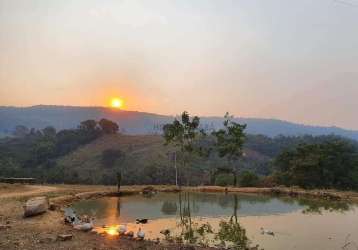 Oportunidade fazenda rio branco mt