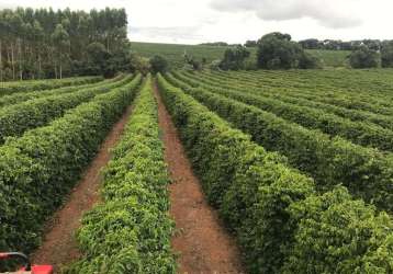 Excelente fazenda de café a venda em minas gerais - triângulo mineiro