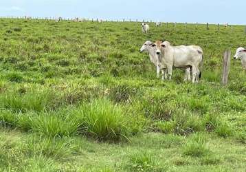 Otima fazenda a venda. grande oportunidade