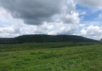 Fazenda  4.890 hectares  pantanal.