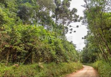 Chácara a venda na estrada da baitaca com potencial residencial e comercial com 20mil m2 - quatro barras-pr