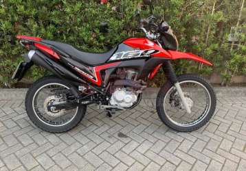 HONDA NXR