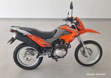 HONDA NXR