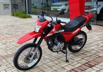 HONDA NXR